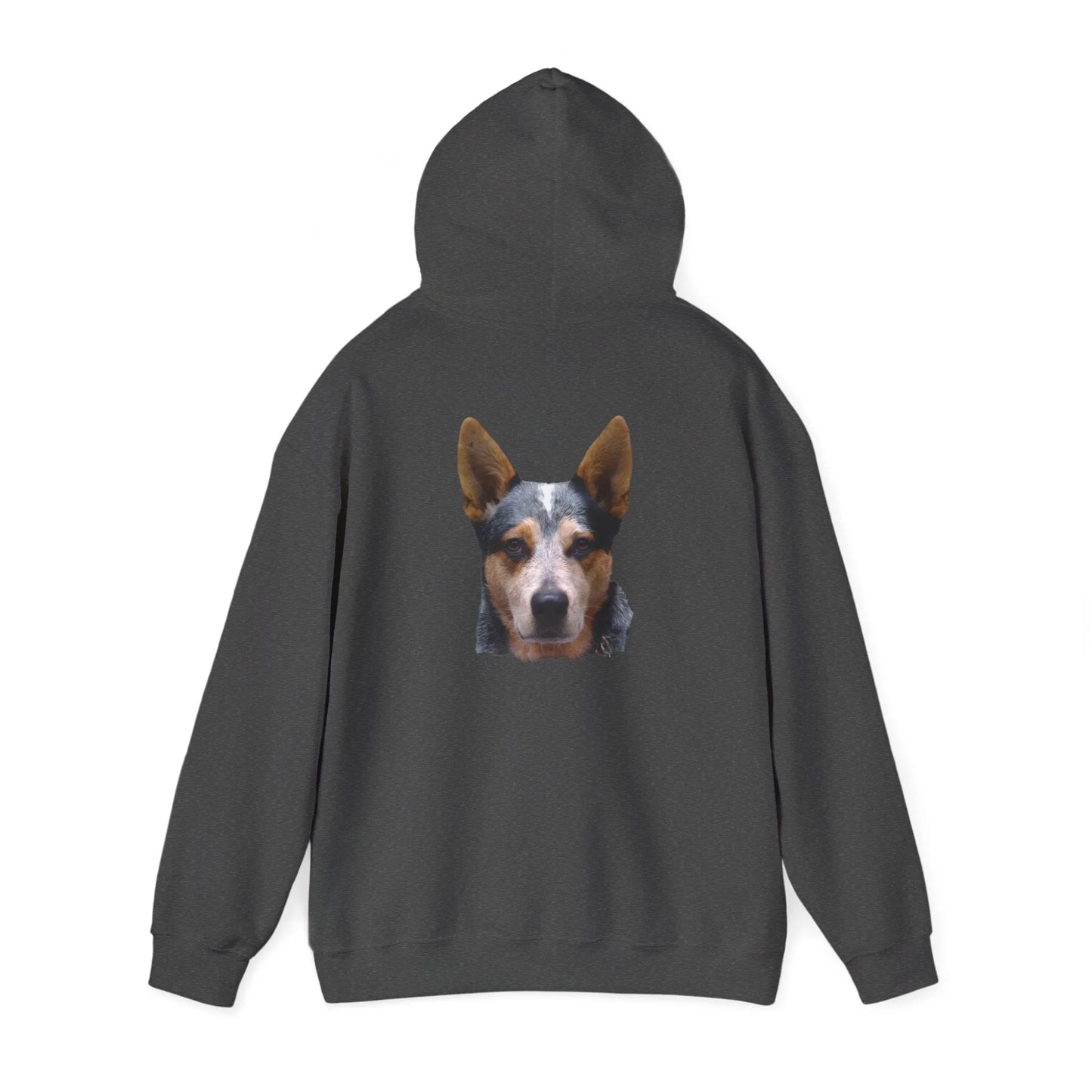 Australian Cattle Dog Portrait Hoodie-Critter Lane