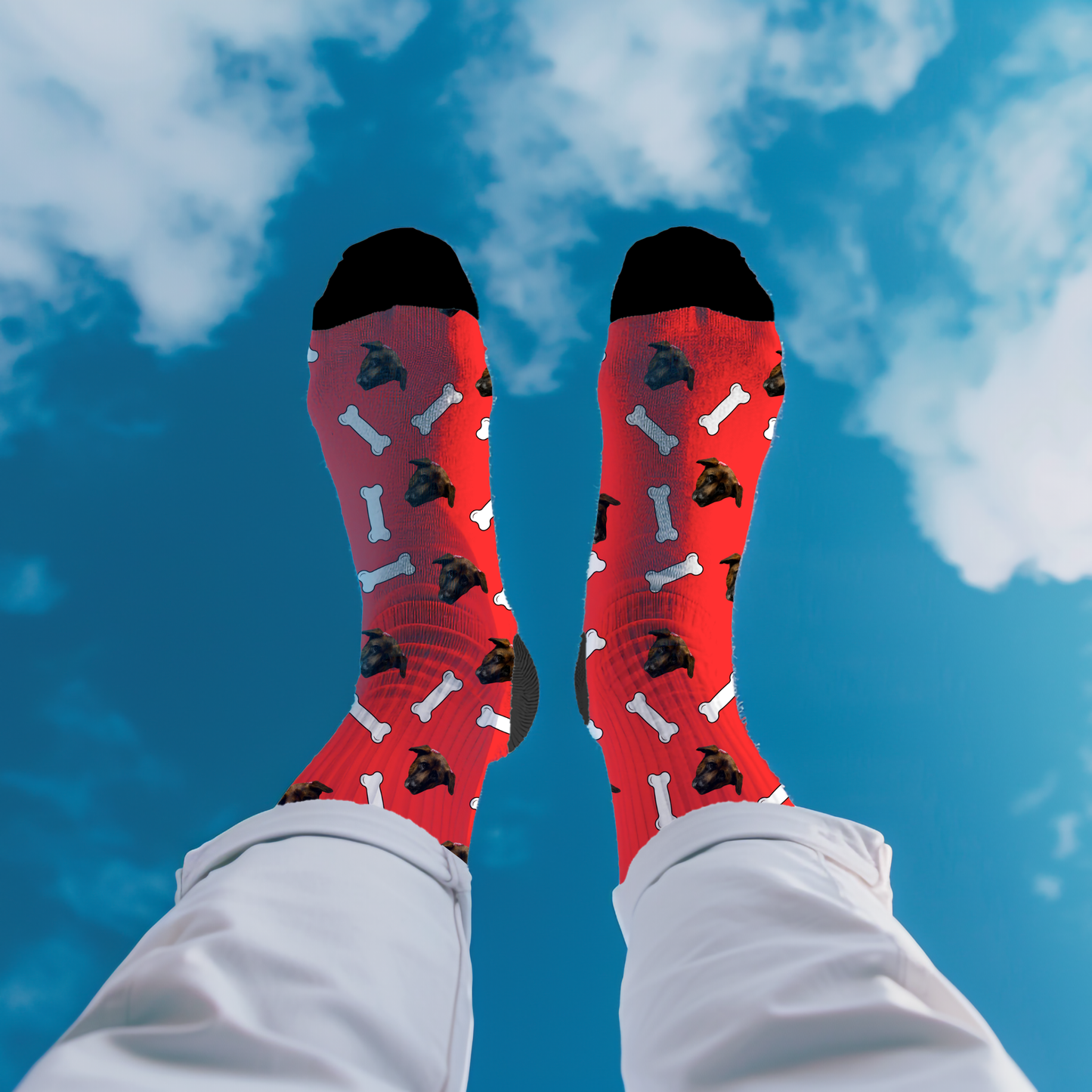 Custom Socks With Your Dog's Face-Critter Lane