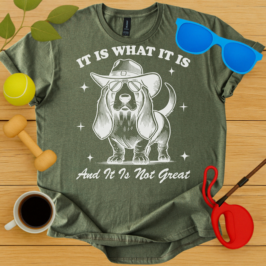 It Is What It Is T-Shirt - Critter Lane