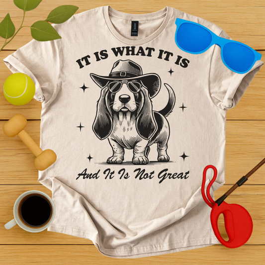 It Is What It Is T-Shirt - Critter Lane