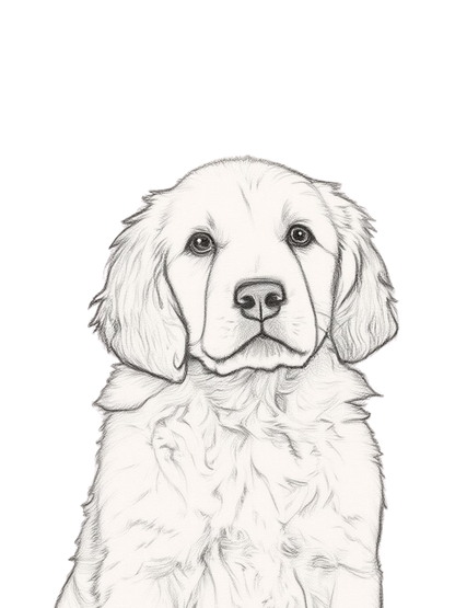 Custom Dog Portrait Poster