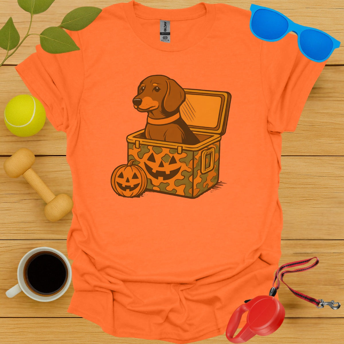 Halloween Themed Dachshund in Pumpkin Box Product Type