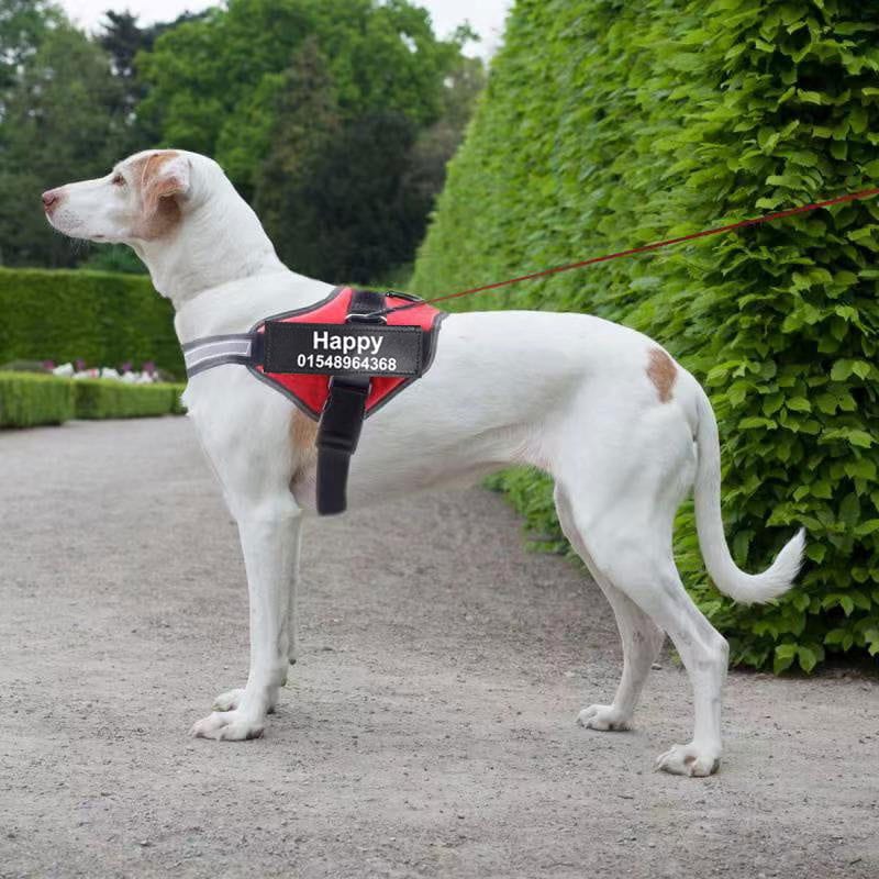 Custom dog harness vest outlet